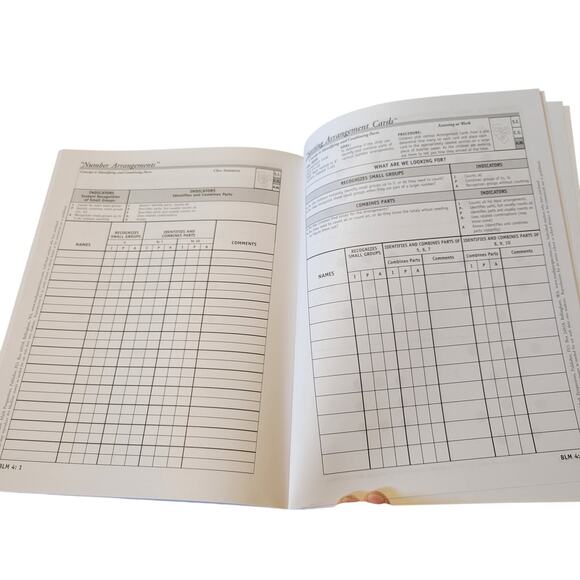 Number Arrangements Book 4 Kathy Richardson 45 Student Forms Assessing Math - Picture 9 of 12